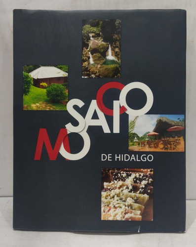 Mosaico De Hidalgo - Lic. Miguel Ángel Osorio Chong