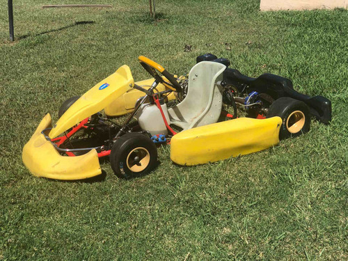 Karting Para Niño Marca M101 Con Motor 4t Niwa
