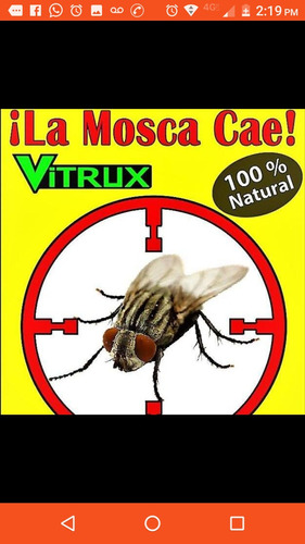 Insecticida Natural Para Mosca 5 Lt Super Eficaz