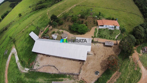 Imagem 12 de 15 de Fazenda - Zona Rural - Ref: 4755 - V-mta4755
