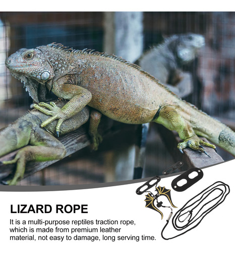 1 Juego De Correas Multiusos Para Lagartos, Pequeños Reptile