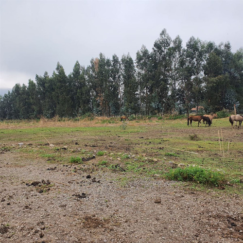 Excelente Terreno En Sector Roma San Fernando