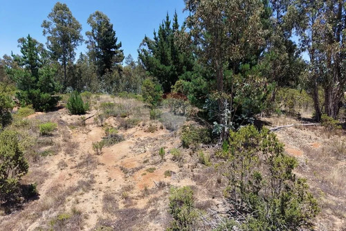 Extraordinario Terreno En La Polcura, 6.575 M²