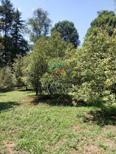 Casa En Venta En Tetela Del Volcán Morelos Con Amplio Terreno Ideal Como Casa De Descanso