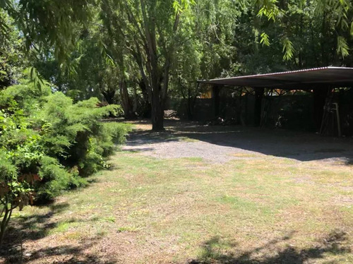 Imagen 14 de 20 de Quinta En Venta - 4 Dormitorios 3 Baños - 160 Mts2 - 9 De Julio
