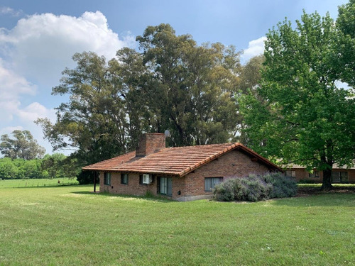 Chacra En Venta De 7 Hectáreas / En Loma Verde Zona Residencial