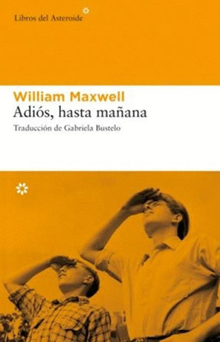 Libro Adiós, Hasta Mañana