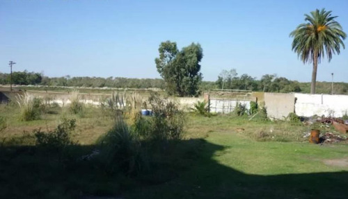 Galpón Frente Al Puerto En Venta - 3340mts2 - Berisso