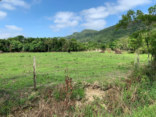 Imagem 12 de 14 de 01- Terreno Em Jacareí Para Chácara Plaino !