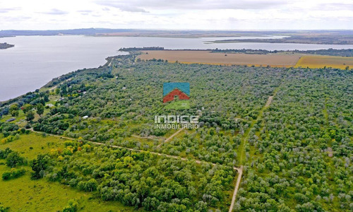 Imagen 10 de 25 de Terreno - San Ignacio