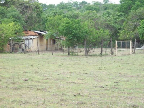 Imagen 8 de 15 de Finca En Venta. Gran Oportunidad.