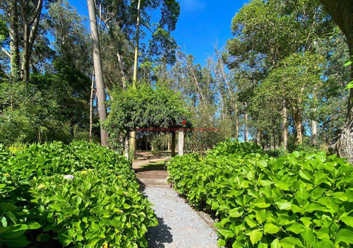Imagen 6 de 8 de Casa En La Zona Del Golf, Ideal Para Vivir Todo El Año. Punta Del Este