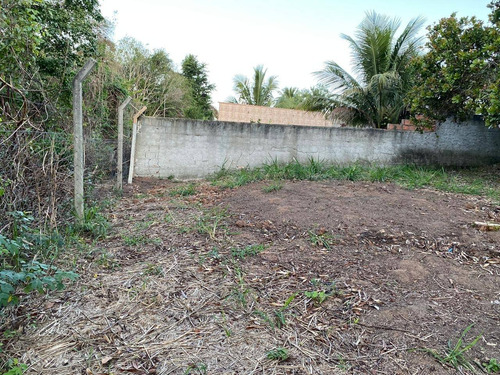 Imagem 10 de 14 de Terreno - Te00022 - 68225325