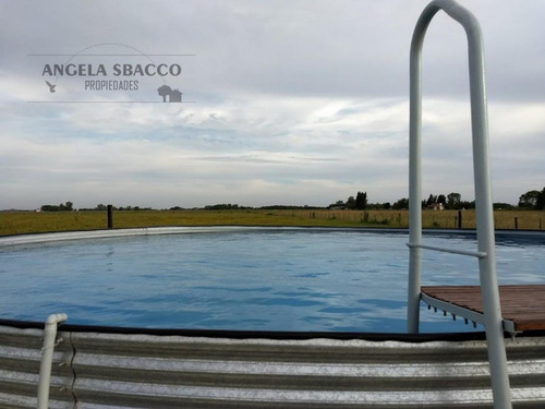 Imagen 9 de 30 de Campo En San Andres De Giles