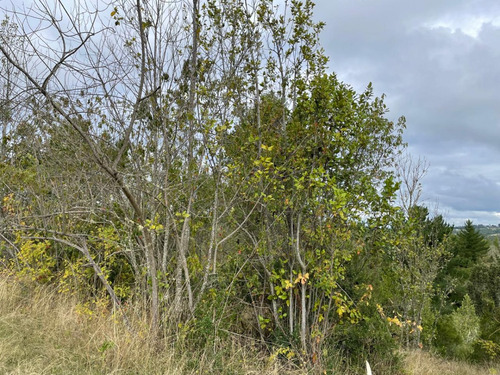 Venta De Parcelas Camino A La Misión - 18 Km De Osorno