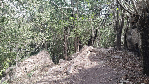 Remato Tres Terrenos En Huerta Grande, Sierras De Cordoba