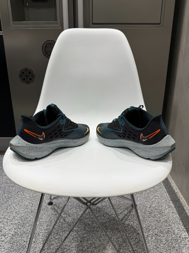 Nike Air Zoom Pegasus Shield (Usado)