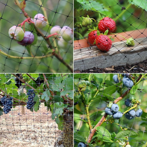 Red Para Pájaros Para Jardín, Cubierta De Red De Arbustos De
