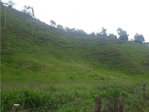 Vendo Fk 400 Cuadras Aptas Para Hass Pueblo Rico (risaralda)