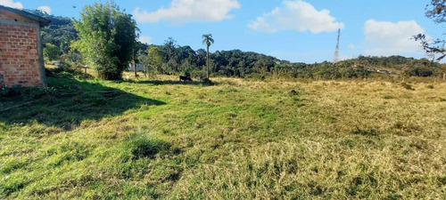 Imagem 5 de 11 de Sítio / Chácara Para Venda Em São José Dos Pinhais, Área Rural De São José Dos Pinhais, 4 Dormitórios, 1 Banheiro, 3 Vagas - 83_2-1228533