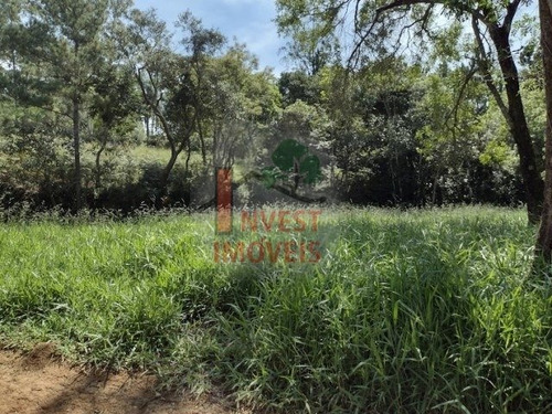 Imagem 4 de 5 de Terreno - Ref: 5463 - V-5463