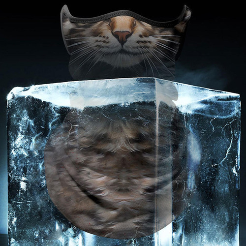 - 2 De Cuello Con Máscara Facial De Animales Para Gato Gris
