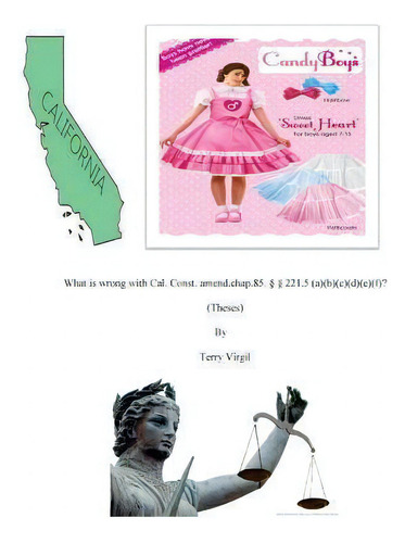 What Is Wrong With Cal. Const. Amend.chap.85.(thes, De Terry Virgil., Vol. 1. Editorial Createspace Independent Publishing Platform, Tapa Blanda En Inglés