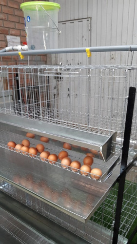 Jaula Para Gallina Ponedora De 02 Pisos