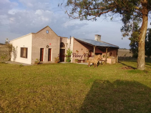 Imagen 12 de 22 de Venta De Chacra Con Casa , 5 Has , Maldonado