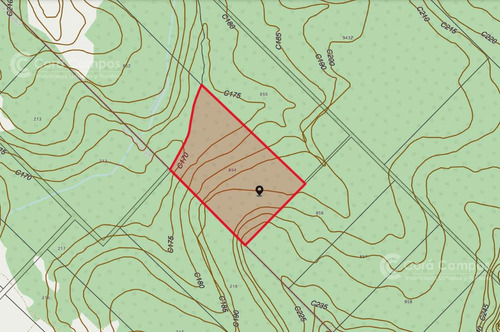 Se Vende Chacra En Roca Chica 71 Ha, Todo Monte Nativo Con Arroyo
