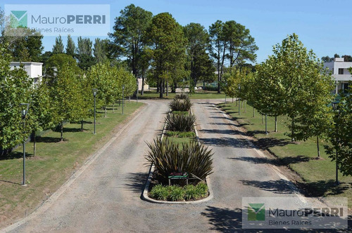 Imagen 4 de 17 de Terreno - La Plata