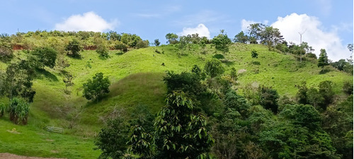 Vendo Terreno De 1 Hectarea Con Carretera Y Agua Propia.