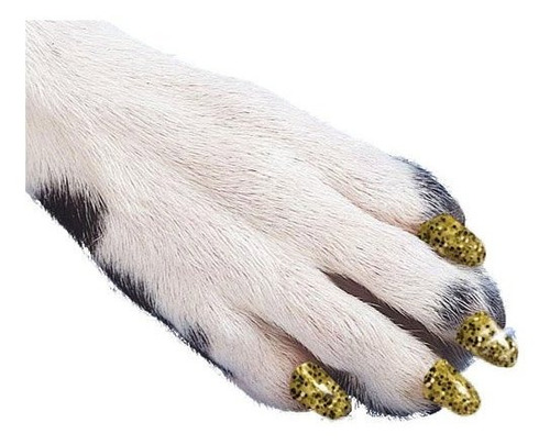 Kit Uñas Para Perros Y Gatos, Xl, Dorado Brillante