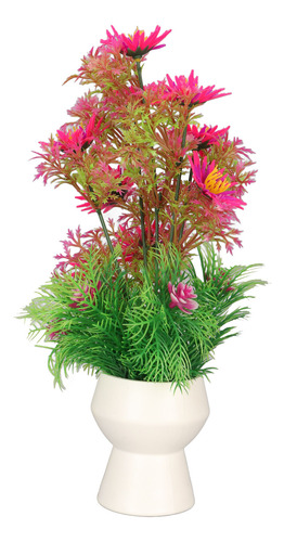 Plantas Para Peceras, Decoraciones Para Acuarios, Que No Des