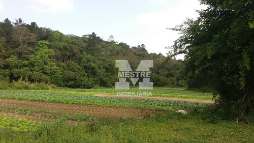 Imagem 16 de 30 de Chácara À Venda, 8750 M² Por R$ 864.000,02 - Capelinha - Guarulhos/sp - Ch0024