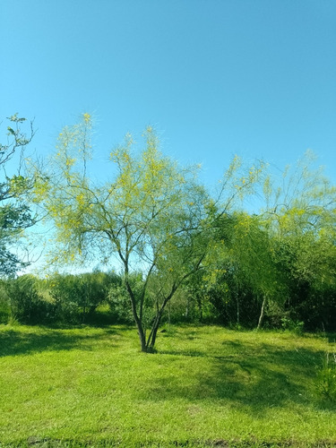 Los Mirasoles Alojamiento.. Un Lugar Para Relax.