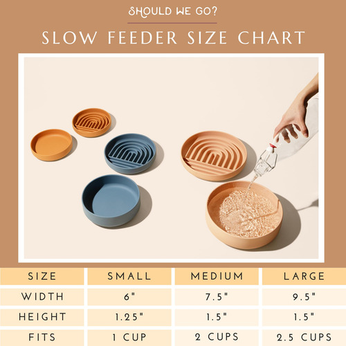 Tazón De Alimentación Lenta ¿deberíamos Ir? El Slowdown Bowl