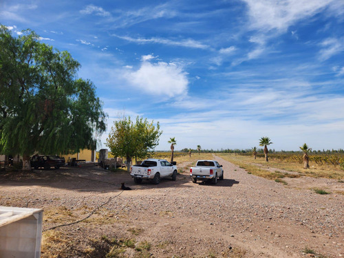 Bodega Y Finca En Venta