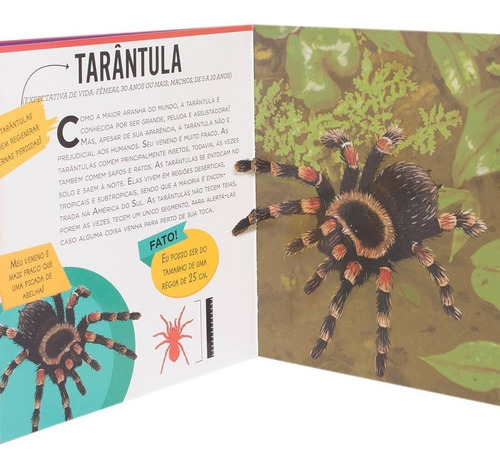 Lenticular 3d - Aventuras De Aranhas