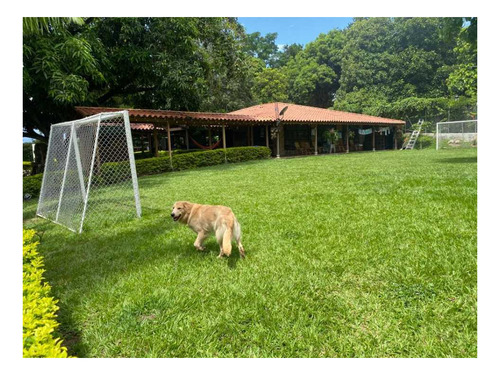 Imagen 4 de 25 de Finca En Venta Sopetran!!