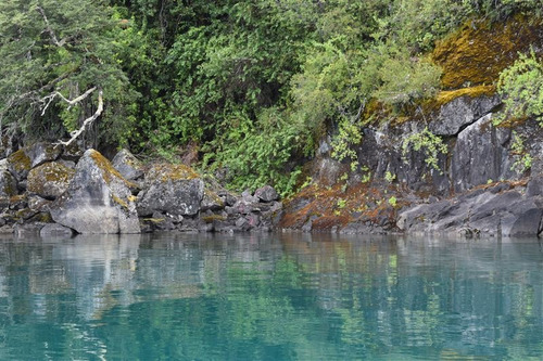 Imagen 25 de 30 de Turisticas En Venta En Puerto Varas