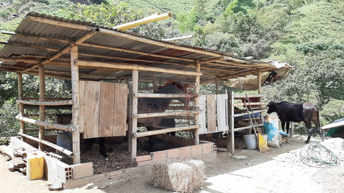 Imagen 24 de 24 de Ibagué - Finca Turística En El Salado, $ 550.000.000
