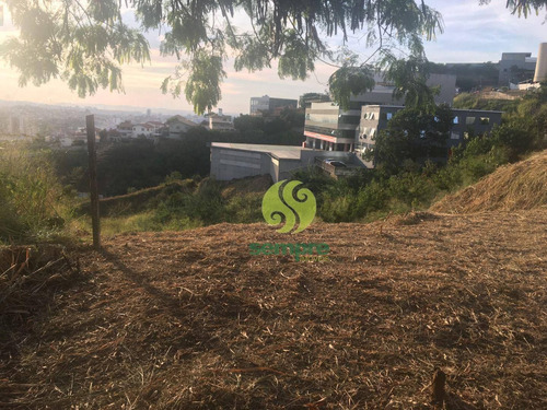 Imagem 13 de 15 de Terreno Para Alugar, 1200 M² Por R$ 2.000,00/mês - Estoril - Belo Horizonte/mg - Te0041