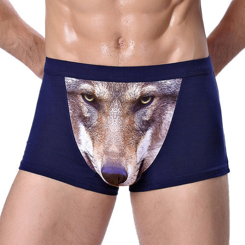 Calzoncillos Bóxer De Lobo Para Hombre Águila 4 Piezas