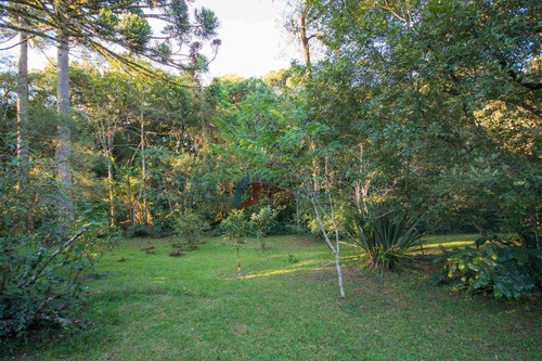 Imagem 7 de 27 de Chácara Com 4 Dormitórios À Venda, 6000 M² Por R$ 2.000.000,00 - Parque Das Nascentes - Pinhais/pr - Ch0001