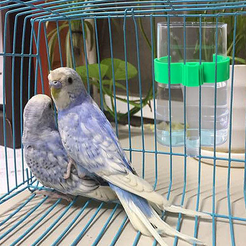 Dispensador De Agua Para Pájaros, Hervidor De Agua Con Drena