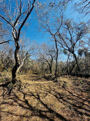 Venta Terreno Comunal Tepoztlan Morelos