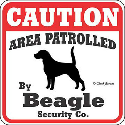 Yard Dog Muestra De La Precaución Área Patrullada Por Beagle