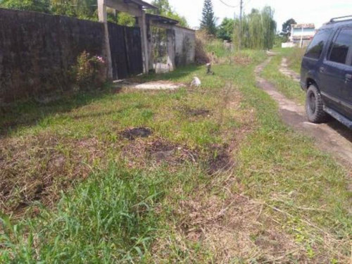 Ótimo Terreno De 286 Mts No Gaivota Em Itanhaém - 5157 | Npc