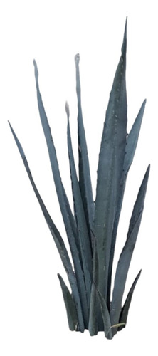 Agave Espadin 40 Cm. Sin Maceta.